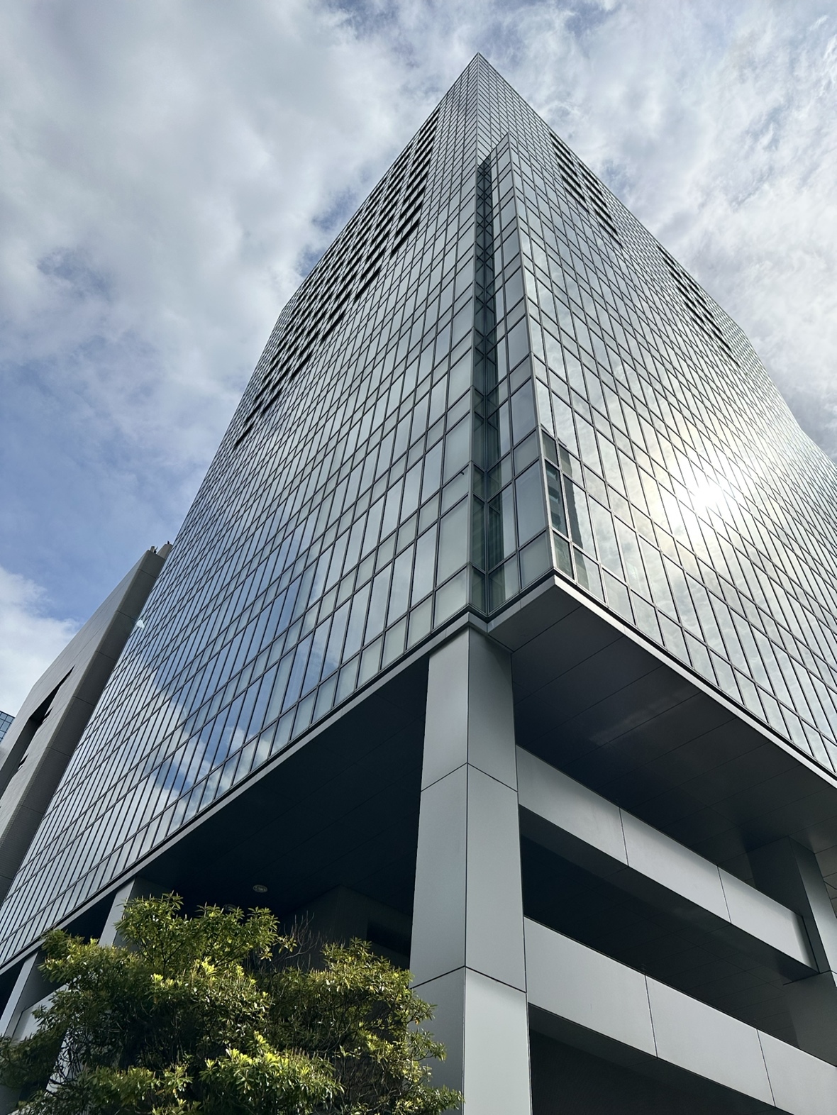 胎児治療学会報告